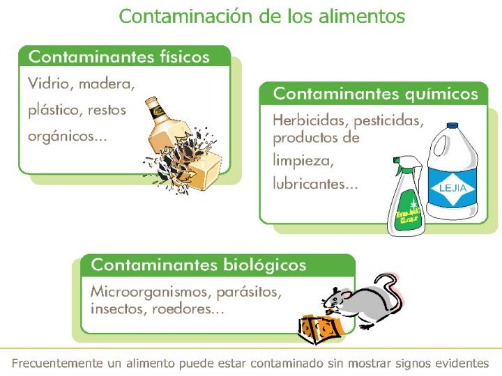 Contaminantes Alimentos Fisicos Quimicos Y Biologicos 0164